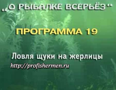 О рыбалке всерьез - ловля щуки на жерлицу