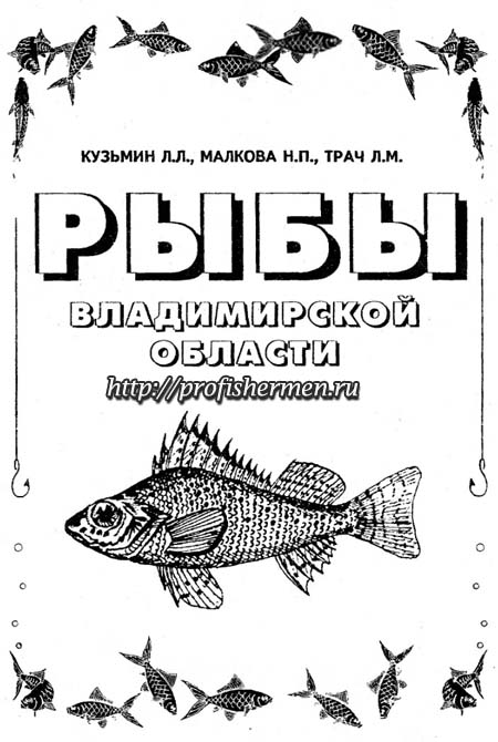 Рыбы Владимирской области
