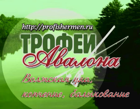 Волжская уха - Трофеи Авалона