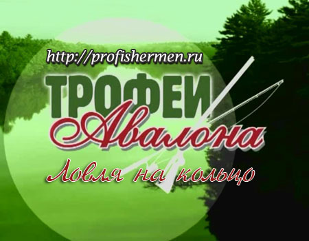 Ловля леща на кольцо Ловля леща на кольцо