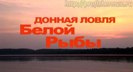 донная ловля рыбы Донная ловля рыбы. Подсекая семеныч - донная ловля белой рыбы.