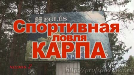 ловля карпа Спортивная ловля карпа. Подсекая семеныч – Спортивная ловля карпа в Европе.